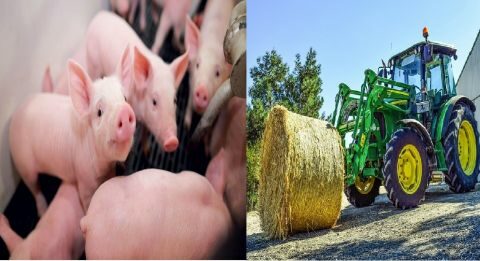 &Eta; &mu;ό&nu;&eta; &alpha;&lambda;ή&theta;&epsilon;&iota;&alpha; &gamma;&iota;&alpha; &tau;&alpha; &Sigma;&chi;έ&delta;&iota;&alpha; &Beta;&epsilon;&lambda;&tau;ί&omega;&sigma;&eta;&sigmaf; - &Sigma;&upsilon;&gamma;&kappa;&rho;&omicron;&tau;ή&theta;&eta;&kappa;&epsilon; &eta; &Epsilon;&theta;&nu;&iota;&kappa;ή &Omicron;&mu;ά&delta;&alpha; &Epsilon;&iota;&delta;&iota;&kappa;ώ&nu; &gamma;&iota;&alpha; &tau;&eta;&nu; &Alpha;&phi;&rho;&iota;&kappa;&alpha;&nu;&iota;&kappa;ή &Pi;&alpha;&nu;ώ&lambda;&eta; &tau;&omega;&nu; &Chi;&omicron;ί&rho;&omega;&nu;