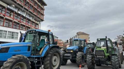 &Pi;&alpha;&rho;ά&sigma;&tau;&alpha;&sigma;&eta; &delta;&iota;&alpha;&mu;&alpha;&rho;&tau;&upsilon;&rho;ί&alpha;&sigmaf; &mu;&epsilon; &tau;&alpha; &tau;&rho;&alpha;&kappa;&tau;έ&rho; &alpha;&pi;ό &alpha;&gamma;&rho;ό&tau;&epsilon;&sigmaf; &kappa;&alpha;&iota; &kappa;&tau;&eta;&nu;&omicron;&tau;&rho;ό&phi;&omicron;&upsilon;&sigmaf; &sigma;&tau;&eta; &Phi;&lambda;ώ&rho;&iota;&nu;&alpha;