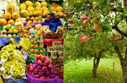 &Sigma;&tau;. &Alpha;&rho;&alpha;&chi;&omega;&beta;ί&tau;&eta;&sigmaf;: &ldquo;&Alpha;&kappa;&rho;ί&beta;&epsilon;&iota;&alpha; &sigma;&tau;&omicron; &rho;ά&phi;&iota;-&Phi;&tau;ώ&chi;&epsilon;&iota;&alpha; &sigma;&tau;&omicron; &chi;&omega;&rho;ά&phi;&iota;&rdquo;