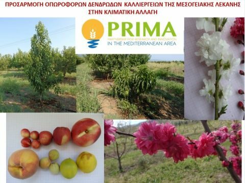 Έ&nu;&alpha;&rho;&xi;&eta; &epsilon;&rho;&epsilon;&upsilon;&nu;&eta;&tau;&iota;&kappa;&omicron;ύ έ&rho;&gamma;&omicron;&upsilon; &gamma;&iota;&alpha; &tau;&eta;&nu; &pi;&rho;&omicron;&sigma;&alpha;&rho;&mu;&omicron;&gamma;ή &tau;&omega;&nu; &delta;&epsilon;&nu;&delta;&rho;&omega;&delta;ώ&nu; &kappa;&alpha;&lambda;&lambda;&iota;&epsilon;&rho;&gamma;&epsilon;&iota;ώ&nu; &sigma;&tau;&eta;&nu; &kappa;&lambda;&iota;&mu;&alpha;&tau;&iota;&kappa;ή &alpha;&lambda;&lambda;&alpha;&gamma;ή &sigma;&tau;&omicron; &Tau;&Phi;&Omicron;&Delta; &Nu;ά&omicron;&upsilon;&sigma;&alpha;&sigmaf;