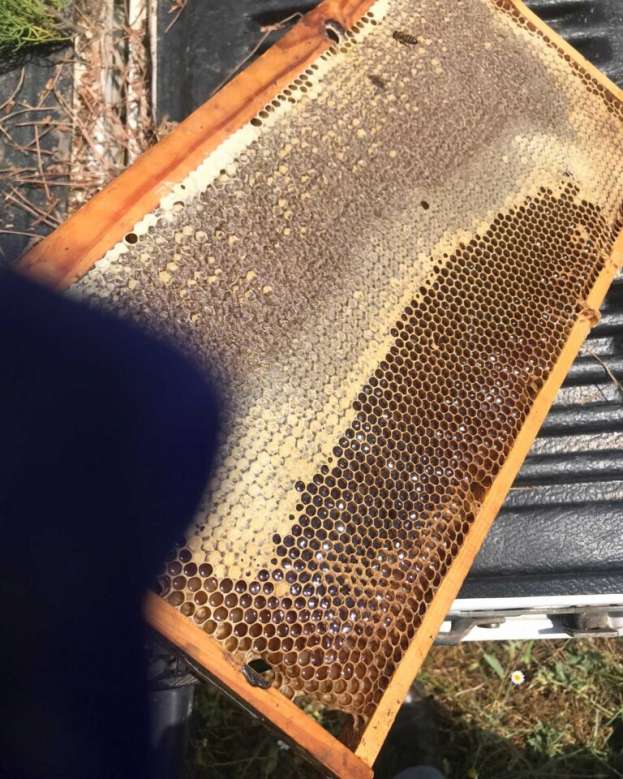 &Mu;έ&lambda;&iota; &epsilon;&lambda;ά&tau;&eta;&sigmaf; &beta;&alpha;&nu;ί&lambda;&iota;&alpha;: ό,&tau;&iota; &chi;&rho;&epsilon;&iota;ά&zeta;&epsilon;&tau;&alpha;&iota; &nu;&alpha; &xi;έ&rho;&omicron;&upsilon;&mu;&epsilon; &gamma;&iota;&alpha; &tau;&omicron;&nu; &omicron;&rho;&epsilon;&iota;&nu;ό &theta;&eta;&sigma;&alpha;&upsilon;&rho;ό &tau;&eta;&sigmaf; &Alpha;&rho;&kappa;&alpha;&delta;ί&alpha;&sigmaf;