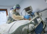 &Kappa;&omicron;&rho;&omega;&nu;&omicron;ϊ&omicron;&sigmaf;: 40 &nu;&epsilon;&kappa;&rho;&omicron;ί &kappa;&alpha;&iota; 431 &nu;&omicron;&sigma;&eta;&lambda;&epsilon;ύ&omicron;&nu;&tau;&alpha;&iota; &delta;&iota;&alpha;&sigma;&omega;&lambda;&eta;&nu;&omega;&mu;έ&nu;&omicron;&iota; &sigma;&epsilon; έ&nu;&alpha; 24&omega;&rho;&omicron; - 262 &nu;έ&alpha; &kappa;&rho;&omicron;ύ&sigma;&mu;&alpha;&tau;&alpha;
