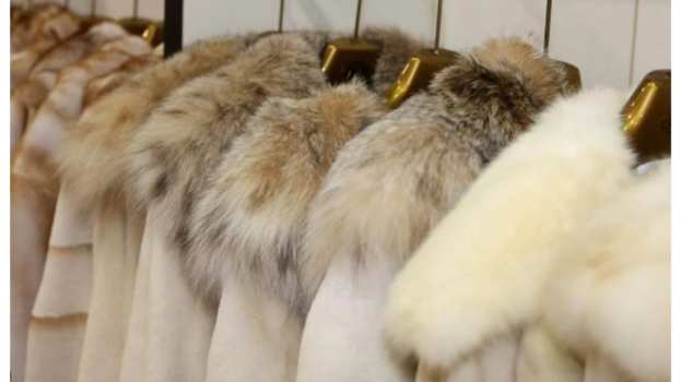 &Pi;&alpha;&rho;ά&tau;&alpha;&sigma;&eta; &tau;&omicron;&upsilon; &mu;έ&tau;&rho;&omicron;&upsilon; &tau;&eta;&sigmaf; &alpha;&nu;&alpha;&sigma;&tau;&omicron;&lambda;ή&sigmaf; &sigma;&upsilon;&mu;&beta;ά&sigma;&epsilon;&omega;&nu; &epsilon;&rho;&gamma;&alpha;&sigma;ί&alpha;&sigmaf; &epsilon;&rho;&gamma;&alpha;&zeta;&omicron;&mu;έ&nu;&omega;&nu; &sigma;&tau;&omicron;&nu; &kappa;&lambda;ά&delta;&omicron; &tau;&eta;&sigmaf; &Gamma;&omicron;&upsilon;&nu;&omicron;&pi;&omicron;&iota;ί&alpha;&sigmaf; &ndash; &Pi;&rho;&omicron;&theta;&epsilon;&sigma;&mu;ί&epsilon;&sigmaf; &upsilon;&pi;&epsilon;ύ&theta;&upsilon;&nu;&omega;&nu; &delta;&eta;&lambda;ώ&sigma;&epsilon;&omega;&nu;