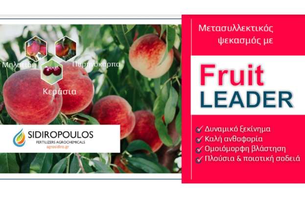 &Rho;&omicron;&delta;ά&kappa;&iota;&nu;&alpha;, &kappa;&epsilon;&rho;ά&sigma;&iota;&alpha;, &epsilon;&sigma;&pi;&epsilon;&rho;&iota;&delta;&omicron;&epsilon;&iota;&delta;ή: &Gamma;&iota;&alpha; &delta;&upsilon;&nu;&alpha;&mu;&iota;&kappa;ό &xi;&epsilon;&kappa;ί&nu;&eta;&mu;&alpha;, &kappa;&alpha;&lambda;ή &alpha;&nu;&theta;&omicron;&phi;&omicron;&rho;ί&alpha; &amp; &alpha;&nu;&tau;&omicron;&chi;ή &sigma;&tau;&omicron;&upsilon;&sigmaf; &alpha;&nu;&omicron;&iota;&xi;&iota;ά&tau;&iota;&kappa;&omicron;&upsilon;&sigmaf; &pi;&alpha;&gamma;&epsilon;&tau;&omicron;ύ&sigmaf;