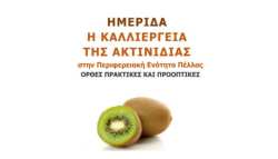 &Epsilon;&nu;&eta;&mu;&epsilon;&rho;&omega;&tau;&iota;&kappa;ή &Eta;&mu;&epsilon;&rho;ί&delta;&alpha; &mu;&epsilon; &Theta;έ&mu;&alpha; "&Eta; &kappa;&alpha;&lambda;&lambda;&iota;έ&rho;&gamma;&epsilon;&iota;&alpha; &tau;&eta;&sigmaf; &Alpha;&kappa;&tau;&iota;&nu;&iota;&delta;&iota;ά&sigmaf; &sigma;&tau;&eta;&nu; &Pi;.&Epsilon;.&Pi;έ&lambda;&lambda;&alpha;&sigmaf;, &Omicron;&rho;&theta;έ&sigmaf; &Pi;&rho;&alpha;&kappa;&tau;&iota;&kappa;έ&sigmaf; &kappa;&alpha;&iota; &Pi;&rho;&omicron;&omicron;&pi;&tau;&iota;&kappa;έ&sigmaf;"