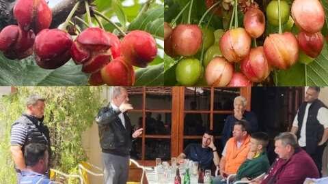 &Zeta;&eta;&mu;&iota;έ&sigmaf; &sigma;&tau;&alpha; &kappa;&epsilon;&rho;ά&sigma;&iota;&alpha;: &Epsilon;&pi;ί&sigma;&kappa;&epsilon;&psi;&eta; &Upsilon;&phi;&Alpha;&Alpha;&Tau;, &Delta;&iota;&omicron;&nu;ύ&sigma;&eta; &Sigma;&tau;&alpha;&mu;&epsilon;&nu;ί&tau;&eta;, &sigma;&tau;&iota;&sigmaf; &pi;&lambda;&eta;&gamma;&epsilon;ί&sigma;&epsilon;&sigmaf; &pi;&epsilon;&rho;&iota;&omicron;&chi;έ&sigmaf; &tau;&omicron;&upsilon; &Delta;ή&mu;&omicron;&upsilon; Έ&delta;&epsilon;&sigma;&sigma;&alpha;&sigmaf;