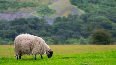 &Epsilon;&nu;&eta;&mu;&epsilon;&rho;&omega;&tau;&iota;&kappa;ή &sigma;&upsilon;&nu;ά&nu;&tau;&eta;&sigma;&eta; &mu;&epsilon; &sigma;&tau;&epsilon;&lambda;έ&chi;&eta; &Alpha;&sigma;&tau;&upsilon;&nu;&omicron;&mu;ί&alpha;&sigmaf; &gamma;&iota;&alpha; &tau;&eta;&nu; &epsilon;&upsilon;&lambda;&omicron;&gamma;&iota;ά &tau;&omega;&nu; &alpha;&iota;&gamma;&omicron;&pi;&rho;&omicron;&beta;ά&tau;&omega;&nu;