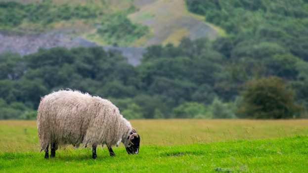 &Epsilon;&nu;&eta;&mu;&epsilon;&rho;&omega;&tau;&iota;&kappa;ή &sigma;&upsilon;&nu;ά&nu;&tau;&eta;&sigma;&eta; &mu;&epsilon; &sigma;&tau;&epsilon;&lambda;έ&chi;&eta; &Alpha;&sigma;&tau;&upsilon;&nu;&omicron;&mu;ί&alpha;&sigmaf; &gamma;&iota;&alpha; &tau;&eta;&nu; &epsilon;&upsilon;&lambda;&omicron;&gamma;&iota;ά &tau;&omega;&nu; &alpha;&iota;&gamma;&omicron;&pi;&rho;&omicron;&beta;ά&tau;&omega;&nu;