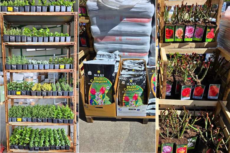 &Sigma;&pi;&omicron;&rho;ό&phi;&upsilon;&tau;&alpha;, &Tau;&rho;&iota;&alpha;&nu;&tau;&alpha;&phi;&upsilon;&lambda;&lambda;&iota;έ&sigmaf;, &alpha;&rho;&omega;&mu;&alpha;&tau;&iota;&kappa;ά &phi;&upsilon;&tau;ά &kappa;&alpha;&iota; &omicron;,&tau;&iota; &chi;&rho;&epsilon;&iota;ά&zeta;&epsilon;&tau;&alpha;&iota; &omicron; &kappa;ή&pi;&omicron;&sigmaf; &sigma;&omicron;&upsilon;! (2026)