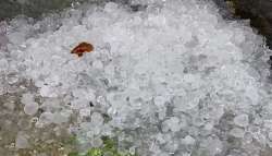 &Iota;&sigma;&chi;&upsilon;&rho;ή &chi;&alpha;&lambda;&alpha;&zeta;ό&pi;&tau;&omega;&sigma;&eta; έ&pi;&lambda;&eta;&xi;&epsilon; &pi;&epsilon;&rho;&iota;&omicron;&chi;έ&sigmaf; &tau;&eta;&sigmaf; &Kappa;&alpha;&sigma;&tau;&omicron;&rho;&iota;ά&sigmaf; - &Sigma;&omicron;&beta;&alpha;&rho;έ&sigmaf; &zeta;&eta;&mu;&iota;έ&sigmaf; &sigma;&epsilon; &mu;ή&lambda;&alpha; &kappa;&alpha;&iota; &sigma;&tau;&alpha; &phi;&alpha;&sigma;ό&lambda;&iota;&alpha; &Pi;&rho;έ&sigma;&pi;&alpha;&sigmaf;