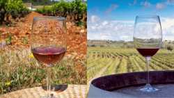 &Kappa;&Epsilon;&Omicron;&Sigma;&Omicron;&Epsilon;: &Omicron;&iota; &epsilon;&upsilon;&rho;&omega;&beta;&omicron;&upsilon;&lambda;&epsilon;&upsilon;&tau;έ&sigmaf; &psi;&eta;&phi;ί&zeta;&omicron;&upsilon;&nu; &upsilon;&pi;έ&rho; &tau;&eta;&sigmaf; &pi;&rho;&omicron;&sigma;&tau;&alpha;&sigma;ί&alpha;&sigmaf; &tau;&omega;&nu; &Pi;&Omicron;&Pi; &kappa;&alpha;&iota; &tau;&omega;&nu; &Pi;&Gamma;&Epsilon; &gamma;&iota;&alpha; &tau;&omicron;&nu; &omicron;ί&nu;&omicron;, &epsilon;&kappa;&tau;ό&sigmaf; EUIPO