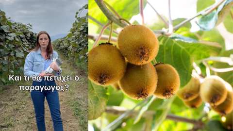 &Pi;ό&pi;&eta; &Alpha;&lambda;&pi;&mu;&alpha;&nu;ί&delta;&omicron;&upsilon;: &Tau;&iota; &nu;&alpha; &kappa;ά&nu;&omega; &mu;&epsilon;&tau;ά &tau;&eta;&nu; &sigma;&upsilon;&gamma;&kappa;&omicron;&mu;&iota;&delta;ή &sigma;&tau;&alpha; &Alpha;&kappa;&tau;&iota;&nu;ί&delta;&iota;&alpha;? (&Beta;ί&nu;&tau;&epsilon;&omicron;)