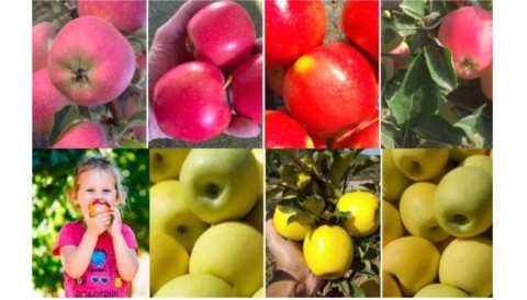 7 &omicron;&lambda;&omicron;&kappa;&alpha;ί&nu;&omicron;&upsilon;&rho;&gamma;&iota;&epsilon;&sigmaf; &mu;&omicron;&nu;&alpha;&delta;&iota;&kappa;έ&sigmaf; &pi;&omicron;&iota;&kappa;&iota;&lambda;ί&epsilon;&sigmaf; &mu;ή&lambda;&omega;&nu; &mu;&epsilon; &iota;&delta;&iota;&alpha;ί&tau;&epsilon;&rho;&omicron; &omicron;&iota;&kappa;&omicron;&nu;&omicron;&mu;&iota;&kappa;ό &epsilon;&nu;&delta;&iota;&alpha;&phi;έ&rho;&omicron;&nu; &gamma;&iota;&alpha; &tau;&omicron;&upsilon;&sigmaf; &pi;&alpha;&rho;&alpha;&gamma;&omega;&gamma;&omicron;ύ&sigmaf;