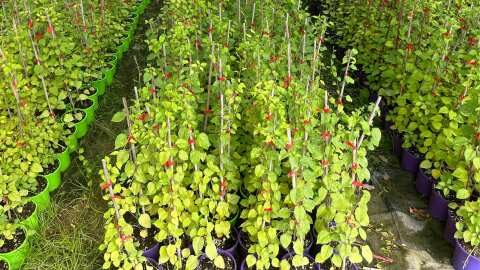 &Kappa;&alpha;&lambda;&lambda;&iota;&epsilon;&rho;&gamma;&epsilon;ί&sigmaf; &Alpha;&kappa;&tau;&iota;&nu;ί&delta;&iota;&alpha;? &Tau;&omicron; &Nu;έ&omicron; &Upsilon;&pi;&omicron;&kappa;&epsilon;ί&mu;&epsilon;&nu;&omicron; BOUNTY &epsilon;ί&nu;&alpha;&iota; &epsilon;&delta;ώ &gamma;&iota;&alpha; &nu;&alpha; &alpha;&lambda;&lambda;ά&xi;&epsilon;&iota; &tau;&alpha; &delta;&epsilon;&delta;&omicron;&mu;έ&nu;&alpha;!