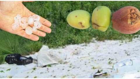 &Pi;&rho;ό&epsilon;&delta;&rho;&omicron;&sigmaf; &Alpha;&Sigma; Ά&rho;&nu;&iota;&sigma;&sigma;&alpha;&sigmaf;: "&Eta; &kappa;&alpha;&tau;ά&sigma;&tau;&alpha;&sigma;&eta; &epsilon;ί&nu;&alpha;&iota; &alpha;&pi;&epsilon;&lambda;&pi;&iota;&sigma;&tau;&iota;&kappa;ή, &omicron;&iota; &alpha;&gamma;&rho;ό&tau;&epsilon;&sigmaf; &delta;&epsilon;&nu; έ&chi;&omicron;&upsilon;&nu; &chi;&rho;ή&mu;&alpha;&tau;&alpha; &omicron;ύ&tau;&epsilon; &gamma;&iota;&alpha; &nu;&alpha; &kappa;&alpha;&lambda;&lambda;&iota;&epsilon;&rho;&gamma;ή&sigma;&omicron;&upsilon;&nu; &tau;&eta; &gamma;&eta;"