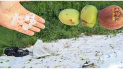 &Pi;&rho;ό&epsilon;&delta;&rho;&omicron;&sigmaf; &Alpha;&Sigma; Ά&rho;&nu;&iota;&sigma;&sigma;&alpha;&sigmaf;: "&Eta; &kappa;&alpha;&tau;ά&sigma;&tau;&alpha;&sigma;&eta; &epsilon;ί&nu;&alpha;&iota; &alpha;&pi;&epsilon;&lambda;&pi;&iota;&sigma;&tau;&iota;&kappa;ή, &omicron;&iota; &alpha;&gamma;&rho;ό&tau;&epsilon;&sigmaf; &delta;&epsilon;&nu; έ&chi;&omicron;&upsilon;&nu; &chi;&rho;ή&mu;&alpha;&tau;&alpha; &omicron;ύ&tau;&epsilon; &gamma;&iota;&alpha; &nu;&alpha; &kappa;&alpha;&lambda;&lambda;&iota;&epsilon;&rho;&gamma;ή&sigma;&omicron;&upsilon;&nu; &tau;&eta; &gamma;&eta;"