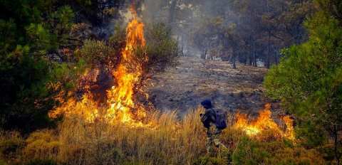 &Pi;KM: &Pi;&alpha;&rho;ά&tau;&alpha;&sigma;&eta; &alpha;&pi;&alpha;&gamma;ό&rho;&epsilon;&upsilon;&sigma;&eta;&sigmaf; &kappa;&upsilon;&kappa;&lambda;&omicron;&phi;&omicron;&rho;ί&alpha;&sigmaf; &sigma;&epsilon; &delta;&alpha;&sigma;&iota;&kappa;έ&sigmaf; &epsilon;&kappa;&tau;ά&sigma;&epsilon;&iota;&sigmaf; &Sigma;έ&iota;&chi; &Sigma;&omicron;&upsilon;, &Omega;&rho;&alpha;&iota;&omicron;&kappa;ά&sigma;&tau;&rho;&omicron;&upsilon;, &Pi;&upsilon;&lambda;&alpha;ί&alpha;&sigmaf; - &Chi;&omicron;&rho;&tau;&iota;ά&tau;&eta; &kappa;&alpha;&iota; &Theta;έ&rho;&mu;&eta;&sigmaf;
