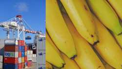 &Alpha;&Alpha;&Delta;&Epsilon;: &Tau;&omicron; &kappa;&omicron;&nu;&tau;έ&iota;&nu;&epsilon;&rho; &mu;&epsilon; &mu;&pi;&alpha;&nu;ά&nu;&epsilon;&sigmaf; &alpha;&pi;ό &tau;&omicron; &Epsilon;&kappa;&omicron;&upsilon;&alpha;&delta;ό&rho; έ&kappa;&rho;&upsilon;&beta;&epsilon; 46 &kappa;&iota;&lambda;ά &kappa;&omicron;&kappa;&alpha;ΐ&nu;&eta;