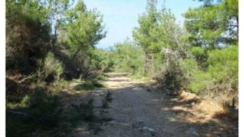 &Epsilon;&nu;&eta;&mu;έ&rho;&omega;&sigma;&eta; &gamma;&iota;&alpha; &tau;&eta;&nu; &epsilon;&nu;&epsilon;&rho;&gamma;&omicron;&pi;&omicron;ί&eta;&sigma;&eta; &tau;&eta;&sigmaf; &Alpha;&pi;ό&phi;&alpha;&sigma;&eta;&sigmaf; &tau;&omicron;&upsilon; &Alpha;&nu;&tau;&iota;&pi;&epsilon;&rho;&iota;&phi;&epsilon;&rho;&epsilon;&iota;ά&rho;&chi;&eta; &Pi;.&Epsilon;. &Eta;&mu;&alpha;&theta;ί&alpha;&sigmaf; &pi;&epsilon;&rho;ί &alpha;&pi;&alpha;&gamma;ό&rho;&epsilon;&upsilon;&sigma;&eta;&sigmaf; &kappa;&upsilon;&kappa;&lambda;&omicron;&phi;&omicron;&rho;ί&alpha;&sigmaf; &sigma;&tau;&eta; &pi;&epsilon;&rho;&iota;&omicron;&chi;ή &epsilon;&upsilon;&theta;ύ&nu;&eta;&sigmaf; &tau;&omicron;&upsilon; &Delta;&alpha;&sigma;&alpha;&rho;&chi;&epsilon;ί&omicron;&upsilon; &Beta;έ&rho;&omicron;&iota;&alpha;&sigmaf;