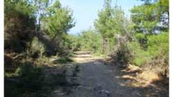&Epsilon;&nu;&eta;&mu;έ&rho;&omega;&sigma;&eta; &gamma;&iota;&alpha; &tau;&eta;&nu; &epsilon;&nu;&epsilon;&rho;&gamma;&omicron;&pi;&omicron;ί&eta;&sigma;&eta; &tau;&eta;&sigmaf; &Alpha;&pi;ό&phi;&alpha;&sigma;&eta;&sigmaf; &tau;&omicron;&upsilon; &Alpha;&nu;&tau;&iota;&pi;&epsilon;&rho;&iota;&phi;&epsilon;&rho;&epsilon;&iota;ά&rho;&chi;&eta; &Pi;.&Epsilon;. &Eta;&mu;&alpha;&theta;ί&alpha;&sigmaf; &pi;&epsilon;&rho;ί &alpha;&pi;&alpha;&gamma;ό&rho;&epsilon;&upsilon;&sigma;&eta;&sigmaf; &kappa;&upsilon;&kappa;&lambda;&omicron;&phi;&omicron;&rho;ί&alpha;&sigmaf; &sigma;&tau;&eta; &pi;&epsilon;&rho;&iota;&omicron;&chi;ή &epsilon;&upsilon;&theta;ύ&nu;&eta;&sigmaf; &tau;&omicron;&upsilon; &Delta;&alpha;&sigma;&alpha;&rho;&chi;&epsilon;ί&omicron;&upsilon; &Beta;έ&rho;&omicron;&iota;&alpha;&sigmaf;