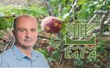 &Delta;&eta;&lambda;ώ&sigma;&epsilon;&iota;&sigmaf; &pi;&rho;&omicron;έ&delta;&rho;&omicron;&upsilon; &Epsilon;&Lambda;&Gamma;&Alpha; &gamma;&iota;&alpha; &alpha;&pi;&omicron;&zeta;&eta;&mu;&iota;ώ&sigma;&epsilon;&iota;&sigmaf; &sigma;&tau;&omicron;&upsilon;&sigmaf; &rho;&omicron;&delta;&alpha;&kappa;&iota;&nu;&omicron;&pi;&alpha;&rho;&alpha;&gamma;&omega;&gamma;&omicron;ύ&sigmaf;