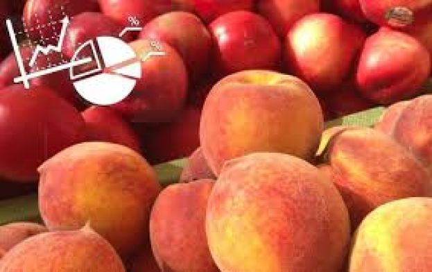 &Epsilon;&nu;&iota;&sigma;&chi;ύ&sigma;&epsilon;&iota;&sigmaf; (&Epsilon;&mu;&pi;ά&rho;&gamma;&kappa;&omicron;) - 52 &lambda;&epsilon;&pi;&tau;ά &pi;&lambda;&eta;&rho;ώ&theta;&eta;&kappa;&alpha;&nu; &omicron;&iota; έ&lambda;&lambda;&eta;&nu;&epsilon;&sigmaf; &rho;&omicron;&delta;&alpha;&kappa;&iota;&nu;&omicron;&pi;&alpha;&rho;&alpha;&gamma;&omega;&gamma;&omicron;ί &sigma;&epsilon; &epsilon;&pi;&iota;&tau;&rho;&alpha;&pi;έ&zeta;&iota;&alpha; &kappa;&alpha;&iota; &nu;&epsilon;&kappa;&tau;&alpha;&rho;ί&nu;&iota;&alpha;;