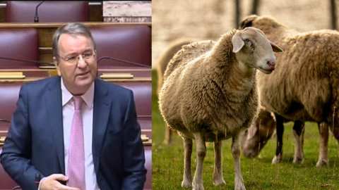 &Gamma;&iota;ώ&rho;&gamma;&omicron;&sigmaf; &Kappa;&alpha;&rho;&alpha;&sigma;&mu;ά&nu;&eta;&sigmaf;: &laquo;&Pi;ό&sigma;&omicron; &pi;&rho;&omicron;&nu;&omicron;&eta;&tau;&iota;&kappa;ό&sigmaf; &kappa;&alpha;&iota; &pi;ό&sigma;&omicron; &epsilon;&pi;ί&kappa;&alpha;&iota;&rho;&omicron;&sigmaf;, &alpha;&kappa;ό&mu;&eta; &kappa;&alpha;&iota; &sigma;ή&mu;&epsilon;&rho;&alpha;, &mu;&epsilon; ό&sigma;&alpha; &sigma;&upsilon;&mu;&beta;&alpha;ί&nu;&omicron;&upsilon;&nu;&hellip;&raquo;