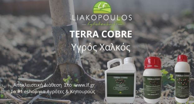 &Beta;&iota;&omicron;&lambda;&omicron;&gamma;&iota;&kappa;ό&sigmaf; &Upsilon;&gamma;&rho;ό&sigmaf; &Chi;&alpha;&lambda;&kappa;ό&sigmaf; TERRA COBRE &gamma;&iota;&alpha; ό&lambda;&epsilon;&sigmaf; &tau;&iota;&sigmaf; &kappa;&alpha;&lambda;&lambda;&iota;έ&rho;&gamma;&epsilon;&iota;&epsilon;&sigmaf;