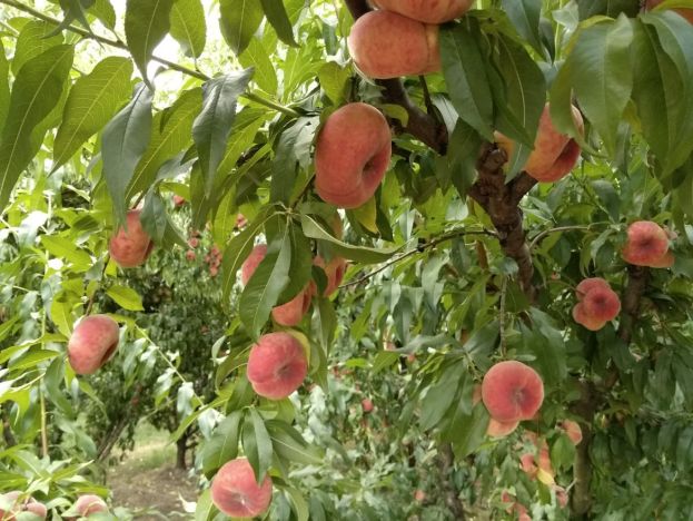 &Epsilon;&upsilon;&rho;ώ&pi;&eta;: &Alpha;&pi;ώ&lambda;&epsilon;&iota;&epsilon;&sigmaf; &sigma;&tau;&eta;&nu; &pi;&alpha;&rho;&alpha;&gamma;&omega;&gamma;ή &pi;&omicron;&upsilon; &delta;&epsilon;&nu; &alpha;&nu;&tau;&iota;&sigma;&tau;&alpha;&theta;&mu;ί&sigma;&tau;&eta;&kappa;&alpha;&nu; &alpha;&pi;ό &tau;&iota;&sigmaf; &tau;&iota;&mu;έ&sigmaf; - &Delta;&upsilon;&sigma;&alpha;&nu;ά&lambda;&omicron;&gamma;&eta; &eta; &sigma;&chi;έ&sigma;&eta; &Pi;&rho;&omicron;&sigma;&phi;&omicron;&rho;ά&sigmaf; - &Zeta;ή&tau;&eta;&sigma;&eta;&sigmaf;