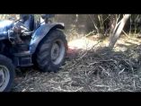 &Zeta;&eta;&tau;&epsilon;ί&tau;&alpha;&iota; &delta;&epsilon;&nu;&delta;&rho;&omicron;&kappa;&omicron;&mu;&iota;&kappa;ό &tau;&rho;&alpha;&kappa;&tau;έ&rho; &alpha;&pi;ό 45 &omega;&sigmaf; 70 ί&pi;&pi;&omicron;&upsilon;&sigmaf;