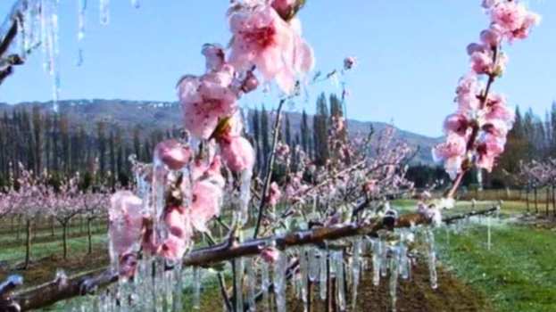 &Kappa;&omicron;&iota;&nu;&omicron;&pi;&omicron;ί&eta;&sigma;&eta; &pi;&omicron;&rho;&iota;&sigma;&mu;ά&tau;&omega;&nu; &Epsilon;&Lambda;.&Gamma;.&Alpha;. &tau;&eta;&sigmaf; &Kappa;&omicron;&iota;&nu;ό&tau;&eta;&tau;&alpha;&sigmaf; &Mu;&alpha;&kappa;&rho;&omicron;&chi;&omega;&rho;ί&omicron;&upsilon; &kappa;&alpha;&iota; &Delta;&iota;&alpha;&beta;&alpha;&tau;&omicron;ύ &alpha;&pi;ό &tau;&omicron;&nu; &Pi;&Alpha;&Gamma;&Epsilon;&Tau;&Omicron; &tau;&eta;&sigmaf; 21/2/25 &kappa;&alpha;&iota; 21/3/25