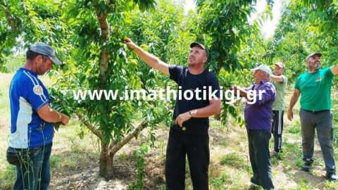 &Epsilon;&rho;&gamma;ά&tau;&epsilon;&sigmaf; &gamma;&eta;&sigmaf;: &Tau;&omicron; &epsilon;&rho;&gamma;ό&sigma;&eta;&mu;&omicron; &omicron;&delta;&epsilon;ύ&epsilon;&iota; &pi;&rho;&omicron;&sigmaf; &kappa;&alpha;&tau;ά&rho;&gamma;&eta;&sigma;&eta; - Έ&nu;&tau;&omicron;&nu;&alpha; &pi;&rho;&omicron;&beta;&lambda;&eta;&mu;&alpha;&tau;&iota;&sigma;&mu;έ&nu;&omicron;&iota; &omicron;&iota; &alpha;&gamma;&rho;ό&tau;&epsilon;&sigmaf;