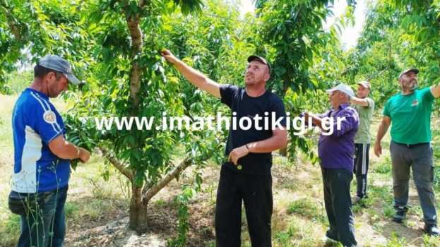 &Epsilon;&rho;&gamma;ά&tau;&epsilon;&sigmaf; &gamma;&eta;&sigmaf;: &Tau;&omicron; &epsilon;&rho;&gamma;ό&sigma;&eta;&mu;&omicron; &omicron;&delta;&epsilon;ύ&epsilon;&iota; &pi;&rho;&omicron;&sigmaf; &kappa;&alpha;&tau;ά&rho;&gamma;&eta;&sigma;&eta; - Έ&nu;&tau;&omicron;&nu;&alpha; &pi;&rho;&omicron;&beta;&lambda;&eta;&mu;&alpha;&tau;&iota;&sigma;&mu;έ&nu;&omicron;&iota; &omicron;&iota; &alpha;&gamma;&rho;ό&tau;&epsilon;&sigmaf;