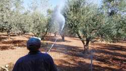 &Pi;&omicron;&rho;&epsilon;ί&alpha; &pi;&rho;&omicron;&gamma;&rho;ά&mu;&mu;&alpha;&tau;&omicron;&sigmaf; &delta;&alpha;&kappa;&omicron;&kappa;&tau;&omicron;&nu;ί&alpha;&sigmaf; &Pi;&Epsilon; &Chi;&alpha;&nu;ί&omega;&nu;