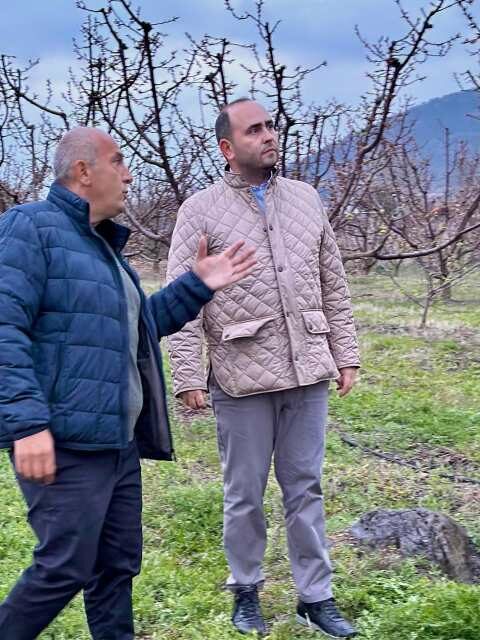 &Lambda;ά&kappa;&eta;&sigmaf; &Beta;&alpha;&sigma;&iota;&lambda;&epsilon;&iota;ά&delta;&eta;&sigmaf;: &Sigma;&epsilon; &Rho;ί&zeta;&omicron;, &Lambda;&omicron;&upsilon;&tau;&rho;&omicron;&chi;ώ&rho;&iota;, &Pi;&epsilon;&tau;&rho;&iota;ά, &gamma;&iota;&alpha; &alpha;&nu;&omicron;&iota;&chi;&tau;ό &delta;&iota;ά&lambda;&omicron;&gamma;&omicron; &mu;&epsilon; &tau;&omicron;&upsilon;&sigmaf;  &pi;&alpha;&rho;&alpha;&gamma;&omega;&gamma;&omicron;ύ&sigmaf; &gamma;&iota;&alpha; &tau;&omicron;&nu; &pi;&alpha;&gamma;&epsilon;&tau;ό