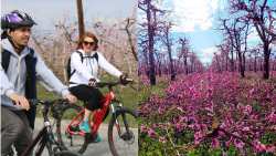 &Sigma;&tau;&iota;&sigmaf; &alpha;&nu;&theta;&iota;&sigma;&mu;έ&nu;&epsilon;&sigmaf; &rho;&omicron;&delta;&alpha;&kappa;&iota;&nu;&iota;έ&sigmaf; &sigma;&tau;&omicron;&nu; &rho;&omicron;&zeta; &kappa;ά&mu;&pi;&omicron; &tau;&eta;&sigmaf; &Beta;έ&rho;&omicron;&iota;&alpha;&sigmaf; &alpha;&pi;ό&lambda;&alpha;&upsilon;&sigma;&alpha;&nu; &pi;&omicron;&delta;&eta;&lambda;&alpha;&tau;ά&delta;&alpha; &omicron;&iota; &sigma;&upsilon;&mu;&mu;&epsilon;&tau;έ&chi;&omicron;&nu;&tau;&epsilon;&sigmaf;(Photos)