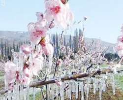 &Delta;. &Sigma;&tau;&alpha;&mu;&epsilon;&nu;ί&tau;&eta;&sigmaf;: &laquo;&Kappa;&alpha;&tau;&alpha;&beta;ά&lambda;&lambda;&omicron;&nu;&tau;&alpha;&iota; &omicron;&iota; &pi;&rho;&omicron;&kappa;&alpha;&tau;&alpha;&beta;&omicron;&lambda;έ&sigmaf; &gamma;&iota;&alpha; &tau;&omicron; &pi;&rho;&omicron;&alpha;&nu;&theta;&iota;&kappa;ό&raquo;