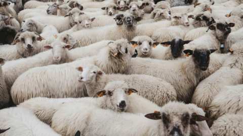 &Epsilon;&pi;&alpha;&nu;&alpha;&lambda;&epsilon;&iota;&tau;&omicron;&upsilon;&rho;&gamma;ί&alpha; &alpha;&pi;&omicron;&lambda;&upsilon;&mu;&alpha;&nu;&tau;&iota;&kappa;ώ&nu; &sigma;&tau;&alpha;&theta;&mu;ώ&nu; &sigma;&tau;&eta;&nu; &Pi;&epsilon;&rho;&iota;&phi;έ&rho;&epsilon;&iota;&alpha; &Theta;&epsilon;&sigma;&sigma;&alpha;&lambda;ί&alpha;&sigmaf; &gamma;&iota;&alpha; &tau;&eta;&nu; &alpha;&pi;&omicron;&tau;&rho;&omicron;&pi;ή &tau;&omicron;&upsilon; &kappa;&iota;&nu;&delta;ύ&nu;&omicron;&upsilon; &tau;&eta;&sigmaf; &delta;&iota;&alpha;&sigma;&pi;&omicron;&rho;ά&sigmaf; &tau;&omicron;&upsilon; &iota;&omicron;ύ &tau;&eta;&sigmaf; &epsilon;&upsilon;&lambda;&omicron;&gamma;&iota;ά&sigmaf;