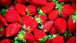 &Tau;&iota; &pi;&rho;&omicron;&sigma;&phi;έ&rho;&omicron;&upsilon;&nu; &omicron;&iota; &phi;&rho;ά&omicron;&upsilon;&lambda;&epsilon;&sigmaf; &sigma;&tau;&eta;&nu; &upsilon;&gamma;&epsilon;ί&alpha; &mu;&alpha;&sigmaf;