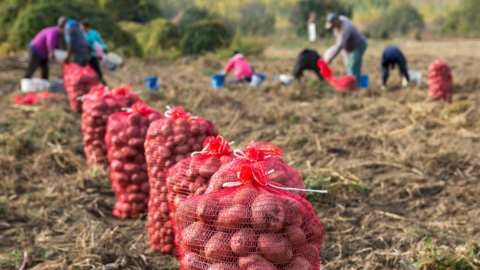 &Chi;&omicron;&rho;ή&gamma;&eta;&sigma;&eta; ά&delta;&epsilon;&iota;&alpha;&sigmaf; &delta;&iota;&alpha;&mu;&omicron;&nu;ή&sigmaf; &sigma;&epsilon; &pi;&omicron;&lambda;ί&tau;&epsilon;&sigmaf; &tau;&rho;ί&tau;&omega;&nu; &chi;&omega;&rho;ώ&nu; - &Alpha;ί&tau;&eta;&mu;&alpha; &Epsilon;&Theta;&Epsilon;&Alpha;&Sigma; &gamma;&iota;&alpha; &alpha;&nu;ά&gamma;&kappa;&eta; &pi;&alpha;&rho;ά&tau;&alpha;&sigma;&eta;&sigmaf; &tau;&eta;&sigmaf; &pi;&rho;&omicron;&theta;&epsilon;&sigma;&mu;ί&alpha;&sigmaf; &upsilon;&pi;&omicron;&beta;&omicron;&lambda;ή&sigmaf; &tau;&omega;&nu; &alpha;&iota;&tau;ή&sigma;&epsilon;&omega;&nu;