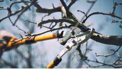 &Gamma;&epsilon;&omega;&rho;&gamma;&iota;&kappa;έ&sigmaf; &pi;&rho;&omicron;&epsilon;&iota;&delta;&omicron;&pi;&omicron;&iota;ή&sigma;&epsilon;&iota;&sigmaf; &gamma;&iota;&alpha; &tau;&alpha; &pi;&upsilon;&rho;&eta;&nu;ό&kappa;&alpha;&rho;&pi;&alpha;