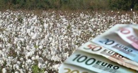 &Delta;ή&lambda;&omega;&sigma;&eta; &Upsilon;&pi;&omicron;&upsilon;&rho;&gamma;&omicron;ύ &Alpha;&gamma;&rho;&omicron;&tau;&iota;&kappa;ή&sigmaf; &Alpha;&nu;ά&pi;&tau;&upsilon;&xi;&eta;&sigmaf; &kappa;&alpha;&iota; &Tau;&rho;&omicron;&phi;ί&mu;&omega;&nu;, &Sigma;&tau;&alpha;ύ&rho;&omicron;&upsilon; &Alpha;&rho;&alpha;&chi;&omega;&beta;ί&tau;&eta;, &gamma;&iota;&alpha; &tau;&eta;&nu; &epsilon;&iota;&delta;&iota;&kappa;ή &epsilon;&nu;ί&sigma;&chi;&upsilon;&sigma;&eta; &beta;ά&mu;&beta;&alpha;&kappa;&omicron;&sigmaf;