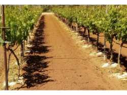 &Epsilon;&sigma;ύ &tau;&iota; &gamma;&nu;&omega;&rho;ί&zeta;&epsilon;&iota;&sigmaf; &gamma;&iota;&alpha; &tau;&omicron;&nu; &zeta;&epsilon;ό&lambda;&iota;&theta;&omicron;?