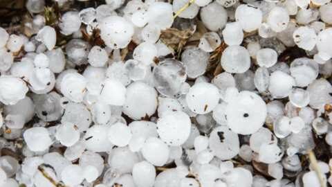 &Omicron;&iota; &epsilon;&pi;&iota;&pi;&tau;ώ&sigma;&epsilon;&iota;&sigmaf; &tau;&eta;&sigmaf; &kappa;&lambda;&iota;&mu;&alpha;&tau;&iota;&kappa;ή&sigmaf; &kappa;&rho;ί&sigma;&eta;&sigmaf; &sigma;&tau;&omicron; &epsilon;&pi;ί&kappa;&epsilon;&nu;&tau;&rho;&omicron; &tau;&eta;&sigmaf; &alpha;&nu;&alpha;&sigma;&upsilon;&gamma;&kappa;&rho;ό&tau;&eta;&sigma;&eta;&sigmaf; &tau;&omicron;&upsilon; &Epsilon;&Lambda;&Gamma;&Alpha;