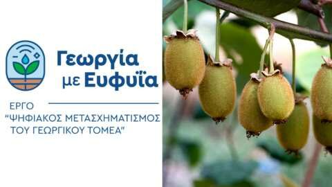 &Gamma;&epsilon;&omega;&rho;&gamma;ί&alpha; &mu;&epsilon; &Epsilon;&upsilon;&phi;&upsilon;ΐ&alpha;: &Kappa;έ&rho;&delta;&omicron;&sigmaf; &kappa;&alpha;&iota; &gamma;&iota;&alpha; &tau;&omicron; &alpha;&kappa;&tau;&iota;&nu;ί&delta;&iota;&omicron;