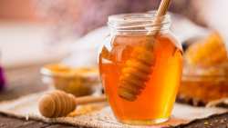 &Sigma;&upsilon;&nu;ά&nu;&tau;&eta;&sigma;&eta; &Sigma;ί&mu;&omicron;&upsilon; &Kappa;&epsilon;&delta;ί&kappa;&omicron;&gamma;&lambda;&omicron;&upsilon; &mu;&epsilon; &tau;&eta;&nu; &Omicron;&mu;&omicron;&sigma;&pi;&omicron;&nu;&delta;ί&alpha; &Mu;&epsilon;&lambda;&iota;&sigma;&sigma;&omicron;&kappa;&omicron;&mu;&iota;&kappa;ώ&nu; &Sigma;&upsilon;&lambda;&lambda;ό&gamma;&omega;&nu; &Epsilon;&lambda;&lambda;ά&delta;&omicron;&sigmaf;