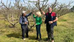 &Eta; &Theta;&epsilon;&omicron;&delta;ώ&rho;&alpha; &Tau;&zeta;ά&kappa;&rho;&eta; &epsilon;&pi;&iota;&sigma;&kappa;έ&phi;&tau;&eta;&kappa;&epsilon; &tau;&iota;&sigmaf; &pi;&epsilon;&rho;&iota;&omicron;&chi;έ&sigmaf; &pi;&omicron;&upsilon; έ&chi;&omicron;&upsilon;&nu; &pi;&lambda;&eta;&gamma;&epsilon;ί &alpha;&pi;ό &tau;&omicron;&nu; &pi;&alpha;&gamma;&epsilon;&tau;ό &tau;&eta;&sigmaf; 29&eta;&sigmaf; &Mu;&alpha;&rho;&tau;ί&omicron;&upsilon; - &Kappa;&alpha;&tau;ά&theta;&epsilon;&sigma;&eta; &epsilon;&rho;ώ&tau;&eta;&sigma;&eta;&sigmaf; &sigma;&tau;&eta; &Beta;&omicron;&upsilon;&lambda;ή