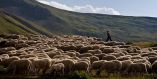 &Epsilon;&nu;&eta;&mu;&epsilon;&rho;&omega;&tau;&iota;&kappa;ό &gamma;&iota;&alpha; &tau;&eta;&nu; &tau;&rho;&omicron;&pi;&omicron;&pi;&omicron;ί&eta;&sigma;&eta; &tau;&eta;&sigmaf; &Kappa;&Upsilon;&Alpha; &gamma;&iota;&alpha; &kappa;&alpha;&tau;&alpha;&nu;&omicron;&mu;ή &tau;&omega;&nu; &beta;&omicron;&sigma;&kappa;&omicron;&tau;ό&pi;&omega;&nu;