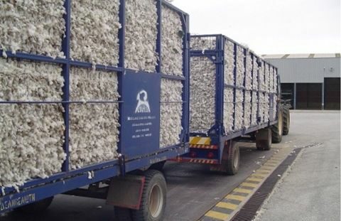 &Beta;&alpha;&mu;&beta;ά&kappa;&iota;: &Gamma;&iota;&alpha; &epsilon;&kappa;&mu;&epsilon;&tau;ά&lambda;&lambda;&epsilon;&upsilon;&sigma;&eta; &kappa;ά&nu;&omicron;&upsilon;&nu; &lambda;ό&gamma;&omicron; &omicron;&iota; &alpha;&gamma;&rho;ό&tau;&epsilon;&sigmaf; &sigma;&tau;&omicron;&nu; &kappa;ά&mu;&pi;&omicron; &kappa;&alpha;&iota; &omicron;&rho;&gamma;&alpha;&nu;ώ&nu;&omicron;&nu;&tau;&alpha;&iota; &alpha;&pi;έ&nu;&alpha;&nu;&tau;&iota; &sigma;&tau;&omicron;&upsilon;&sigmaf; &epsilon;&kappa;&kappa;&omicron;&kappa;&kappa;&iota;&sigma;&tau;έ&sigmaf;