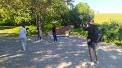 &Phi;&iota;&lambda;&omicron;&xi;&epsilon;&nu;ί&alpha; &pi;&alpha;&rho;&omicron;&upsilon;&sigma;&iota;&alpha;&sigma;&tau;ώ&nu; &tau;&eta;&sigmaf; &iota;&omicron;&rho;&delta;&alpha;&nu;&iota;&kappa;ή&sigmaf; &tau;&eta;&lambda;&epsilon;ό&rho;&alpha;&sigma;&eta;&sigmaf; &sigma;&tau;&eta;&nu; &Pi;&epsilon;&rho;&iota;&phi;έ&rho;&epsilon;&iota;&alpha; &Kappa;&epsilon;&nu;&tau;&rho;&iota;&kappa;ή&sigmaf; &Mu;&alpha;&kappa;&epsilon;&delta;&omicron;&nu;ί&alpha;&sigmaf;